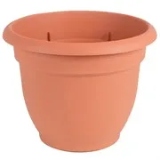 10" Ariana Terra Cotta Planter