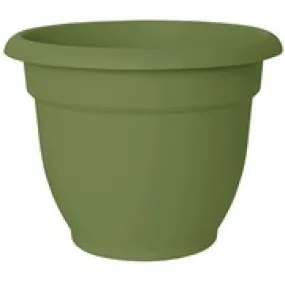 6" Ariana Living Green Planter