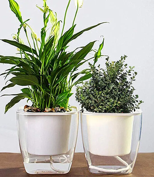 ABOUT SPACE Self Watering Pot - 5 Inch Plastic Automatic Watering Planters with Transparent Pot for Succulent, Foliage Plants, and Herbs - Indoor, Outdoor, Balcony, Garden, Home (Set of 2, Only Pots)