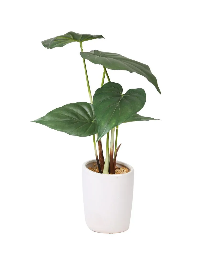 Alocasia Artificial Bonsai Plant with Ceramic Pot | 1.3 feet