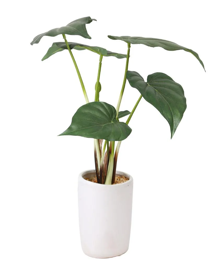 Alocasia Artificial Bonsai Plant with Ceramic Pot | 1.3 feet