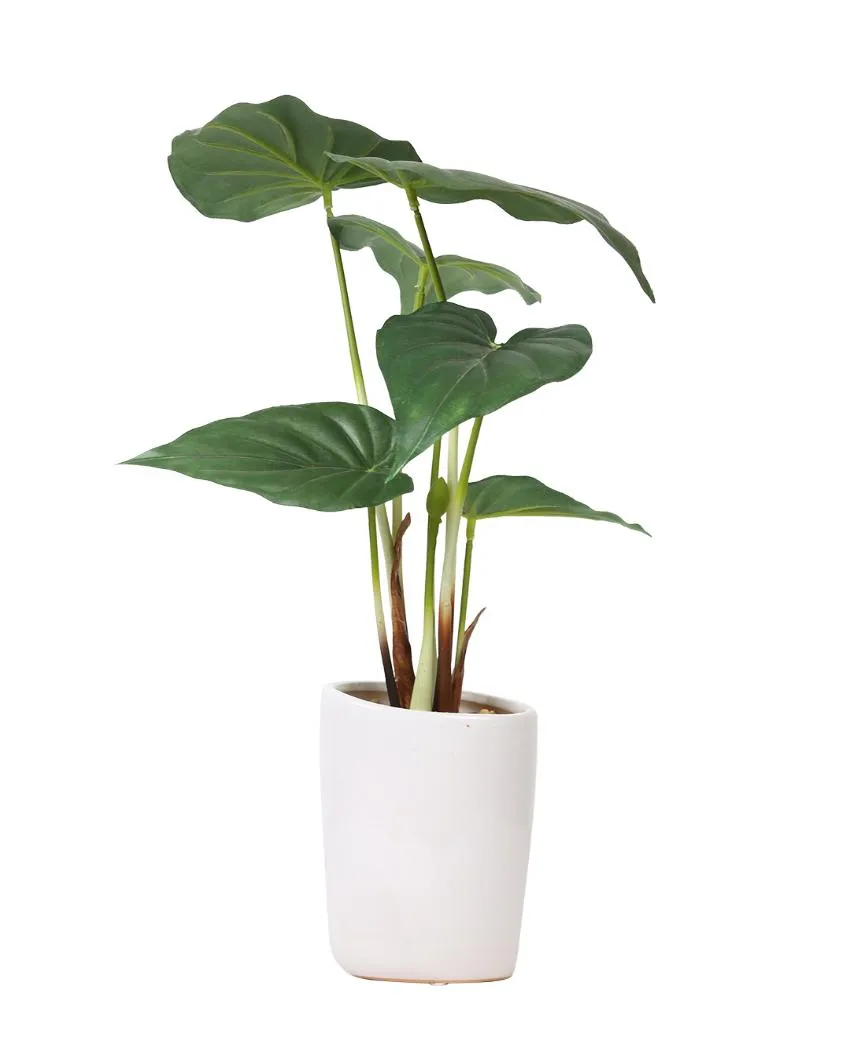 Alocasia Artificial Bonsai Plant with Ceramic Pot | 1.3 feet