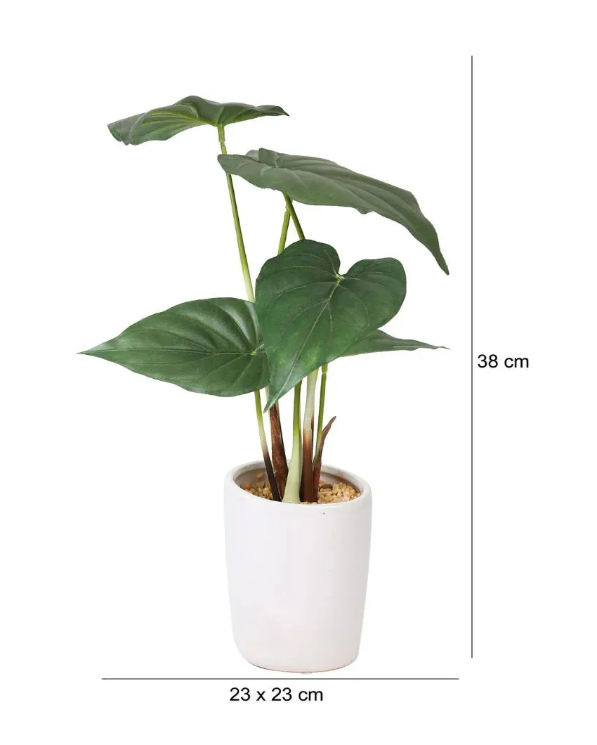 Alocasia Artificial Bonsai Plant with Ceramic Pot | 1.3 feet