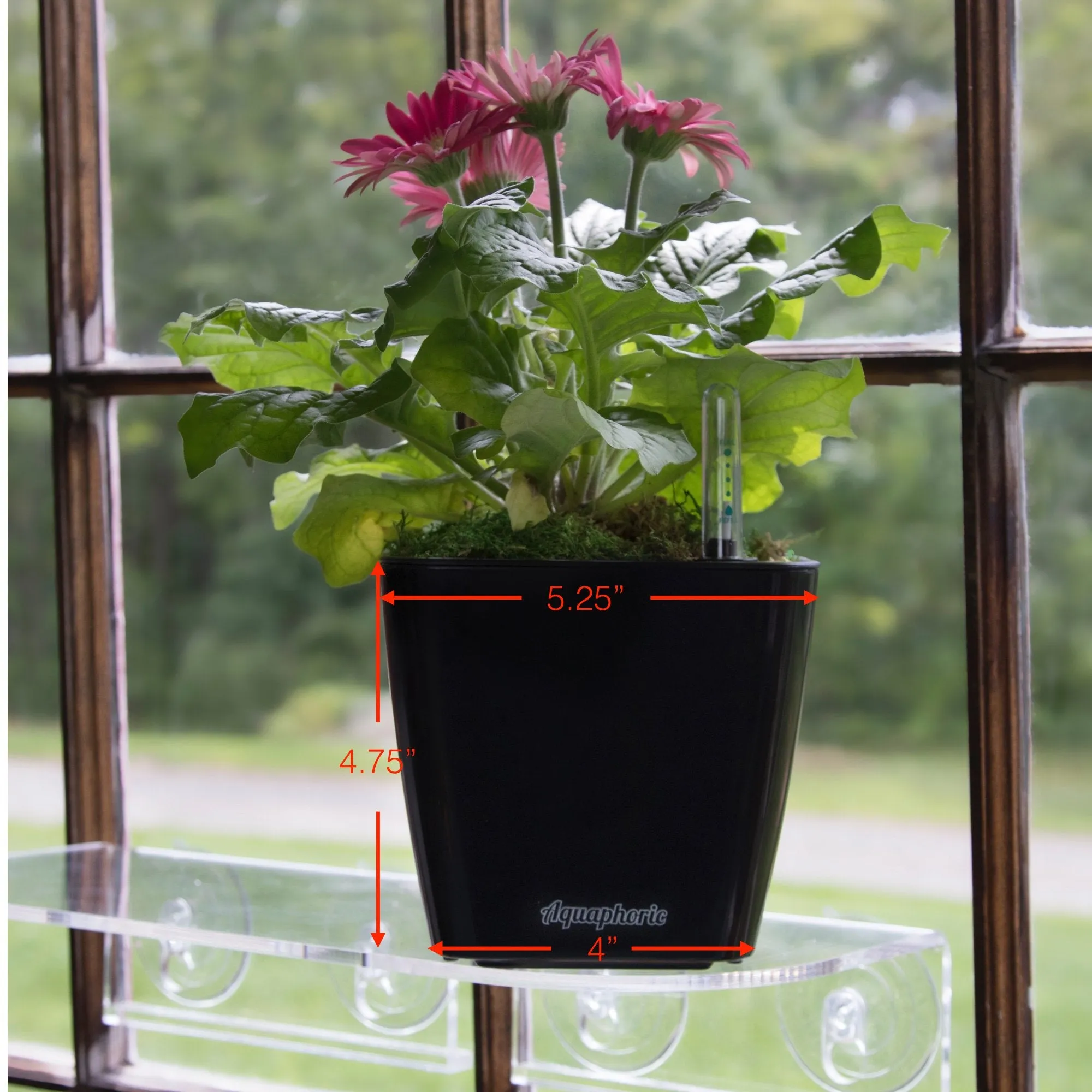 Aquaphoric Self Watering Planter (5)   Fiber Soil  Foolproof Indoor Home Garden