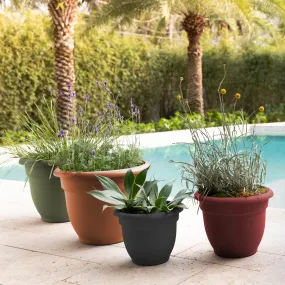 Ariana Planters