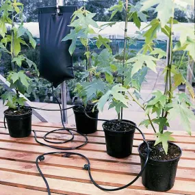 Bag Drip Watering Kit