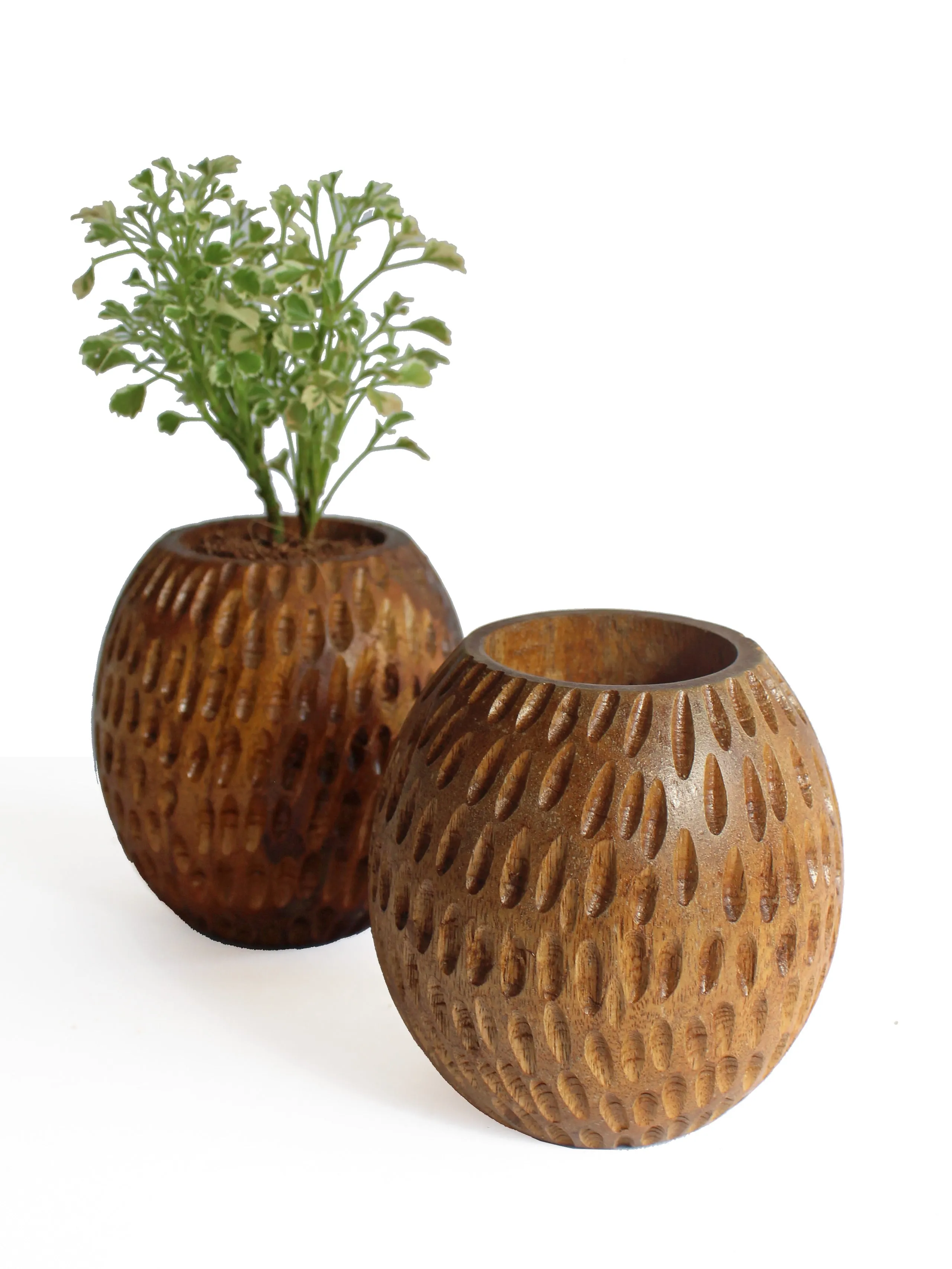 Carved Spherical Planter