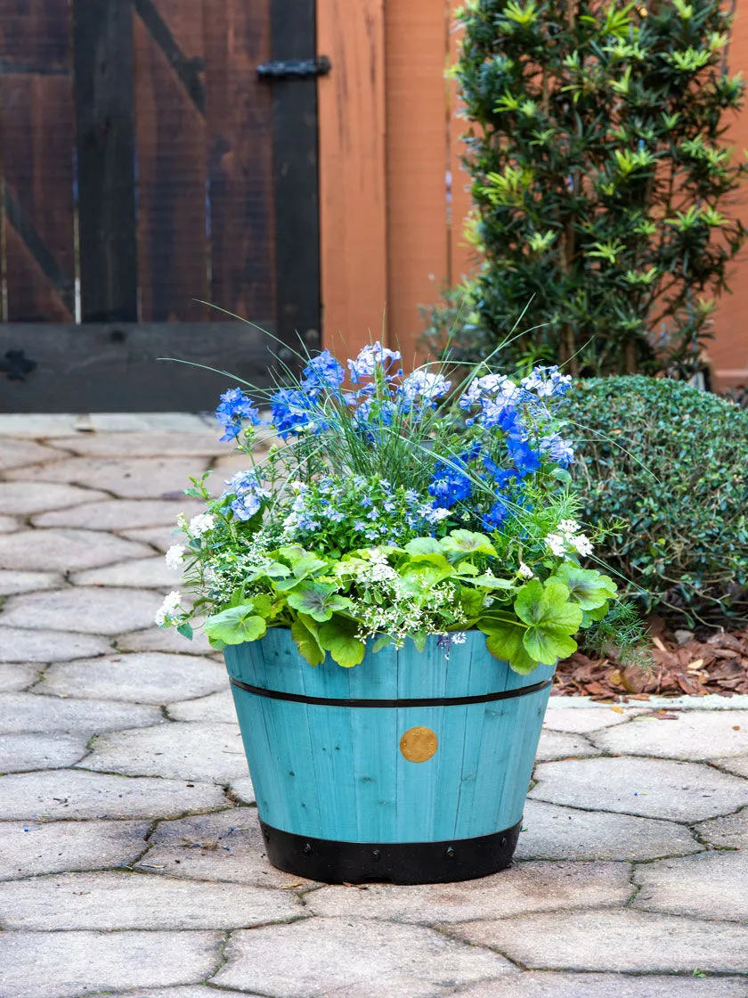 Coloured Barrel Planter