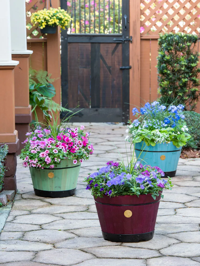 Coloured Barrel Planter