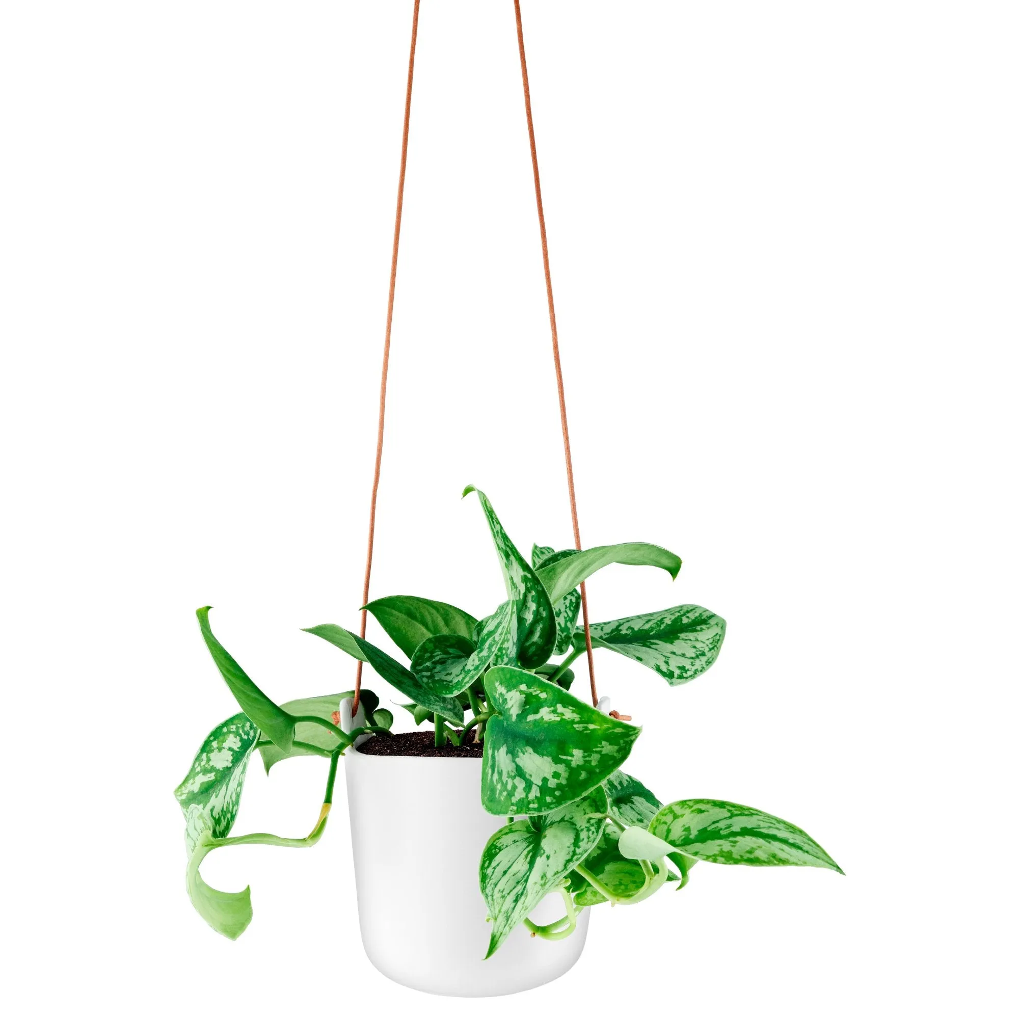 Eva Solo Hanging Selfwatering Flower Pot