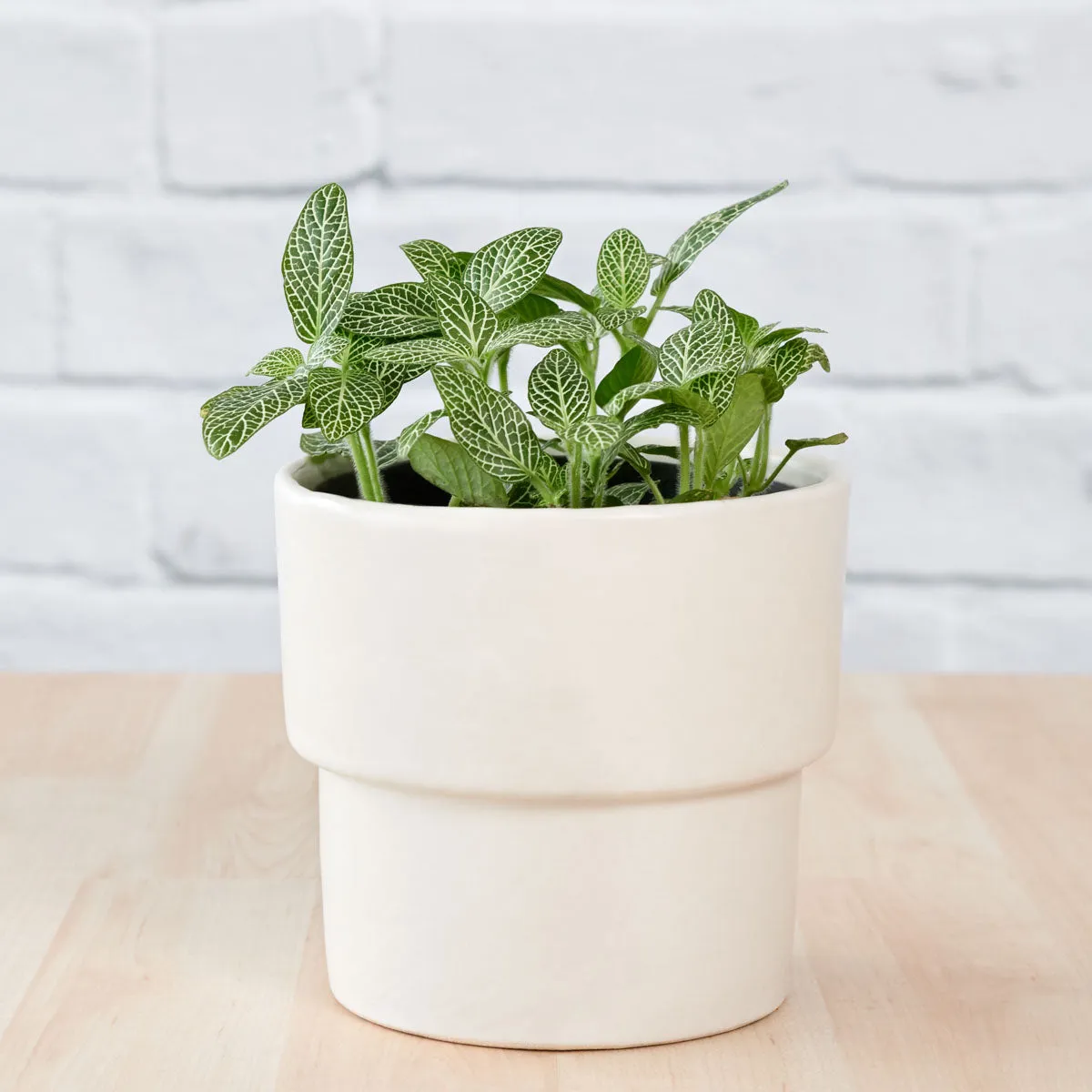 Flo Planter - Coconut Milk White