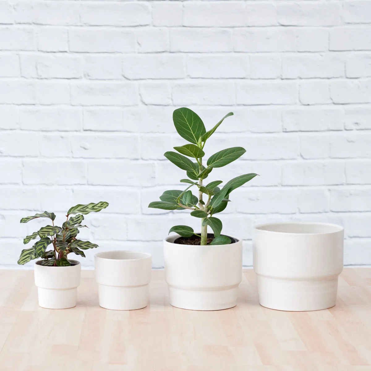 Flo Planter - Coconut Milk White