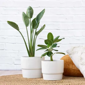 Flo Planter - Coconut Milk White