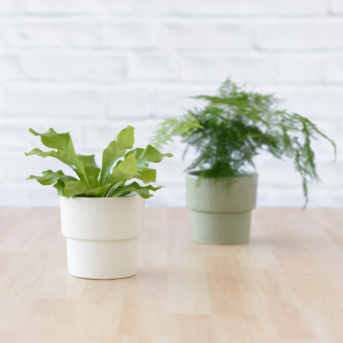 Flo Planter - Coconut Milk White