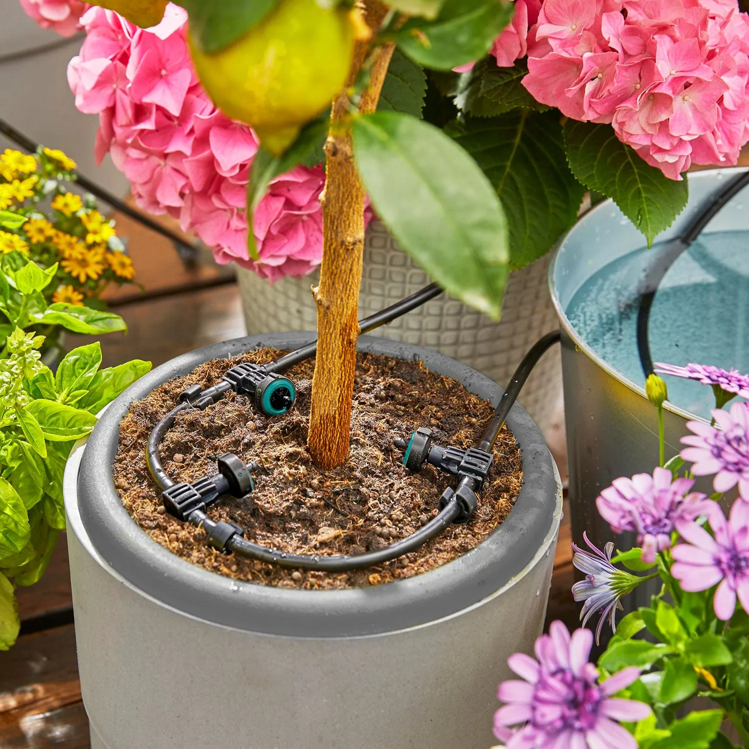 Gardena AquaBloom Solar Powered Watering System