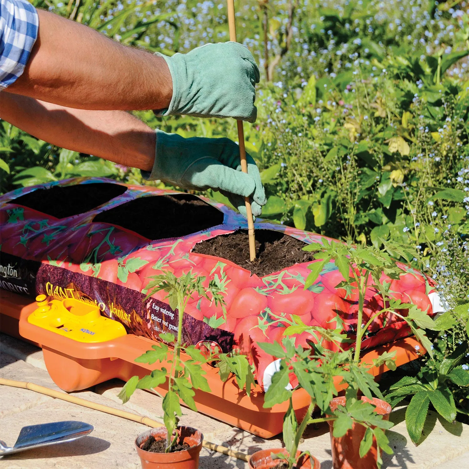 Hozelock Growbag Waterer