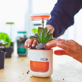 PICO Smart Indoor Garden