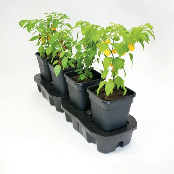 Quadgrow Planter