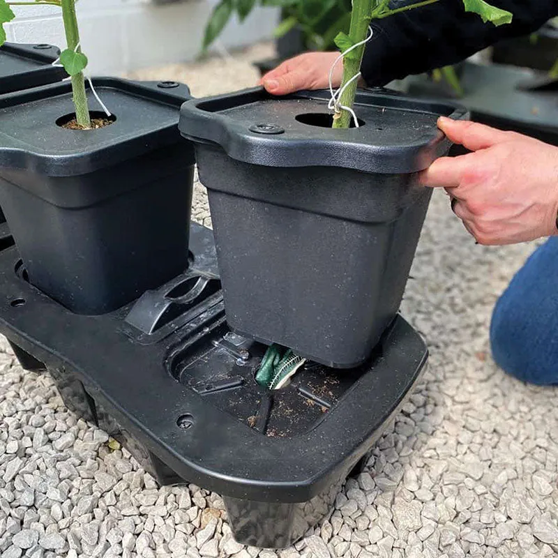 Quadgrow Planter