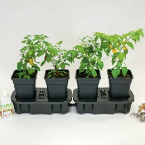 Quadgrow Planter