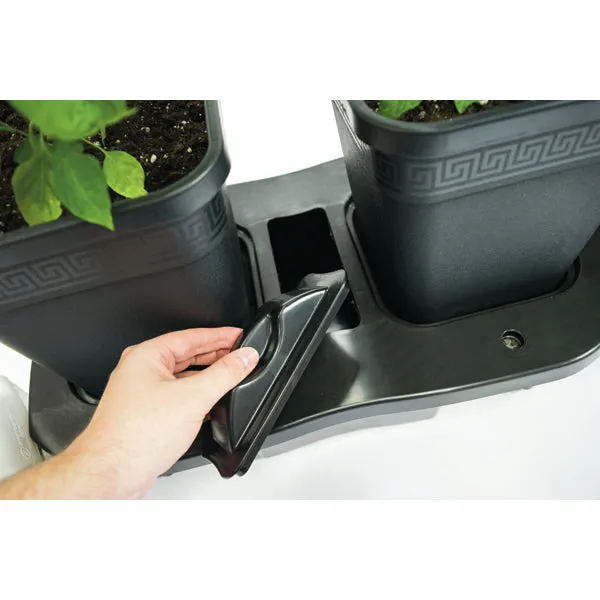 Quadgrow Planter