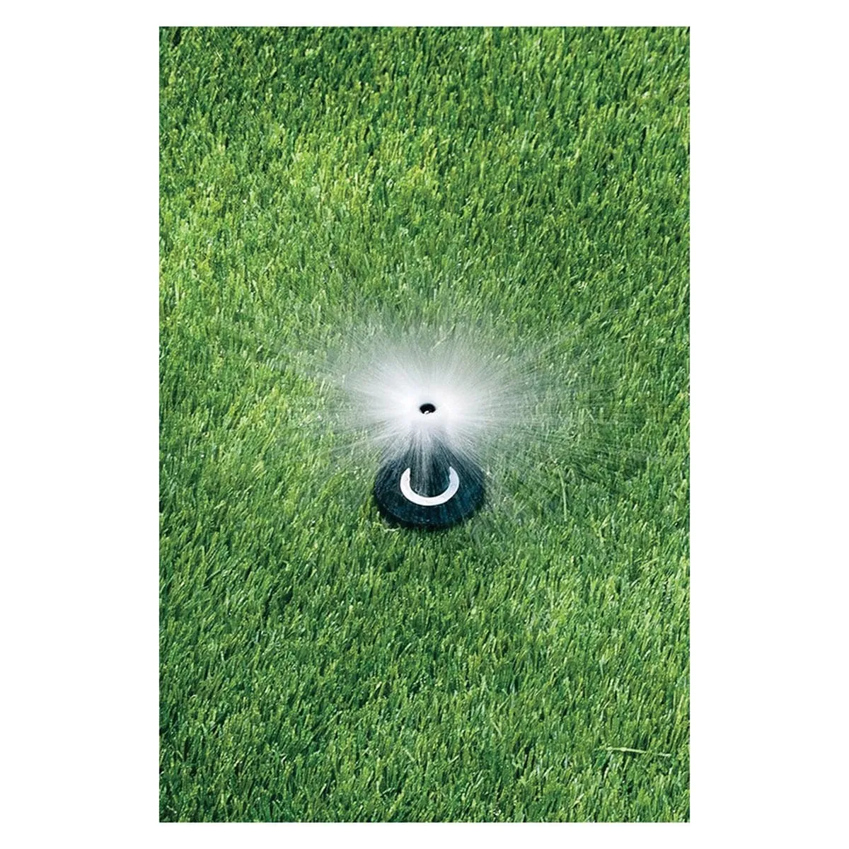 Rain Bird 2" 1800 Dual Spray Full Circle with Pressure Regulator