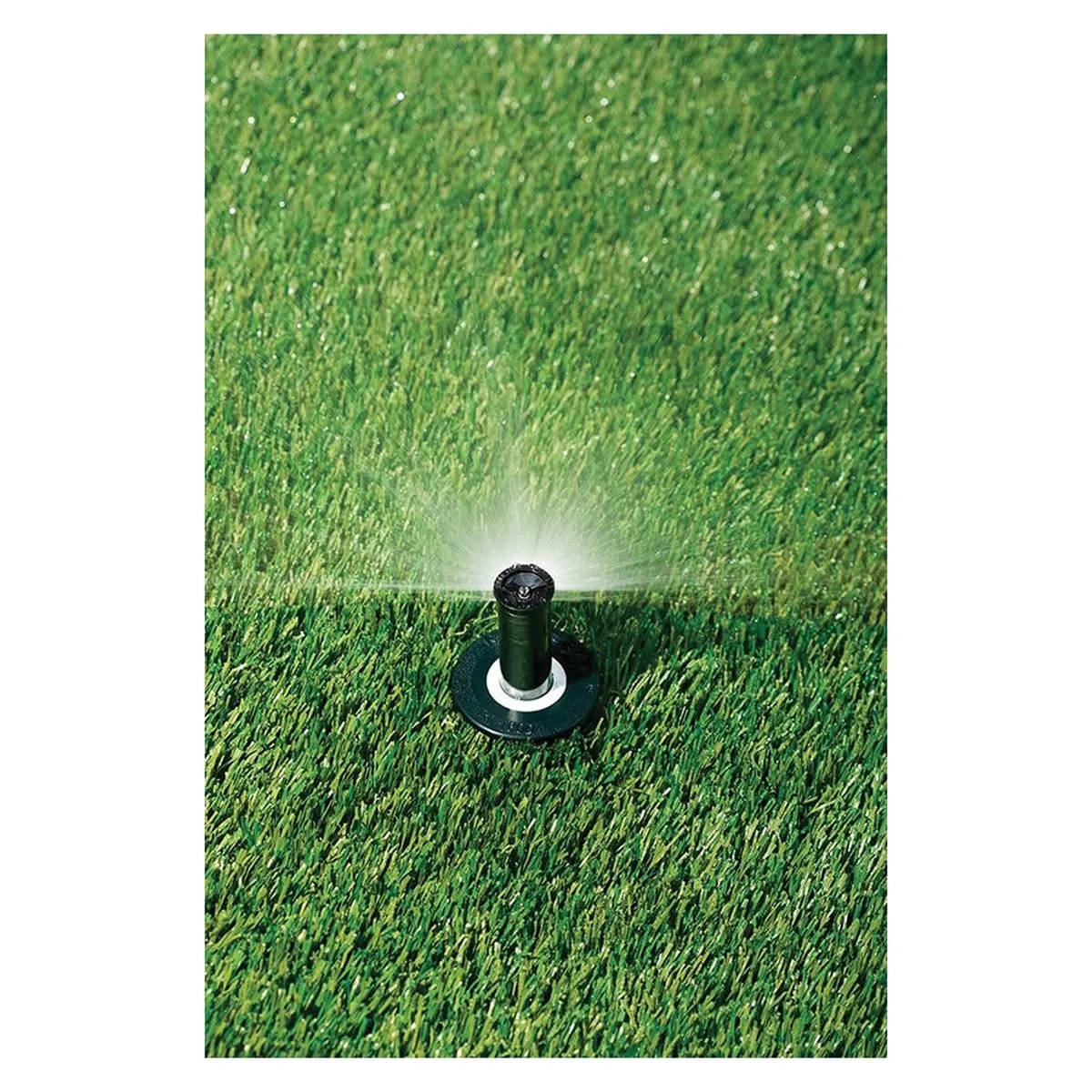 Rain Bird 2" 1800 Dual Spray Half Circle with Pressure Regulator