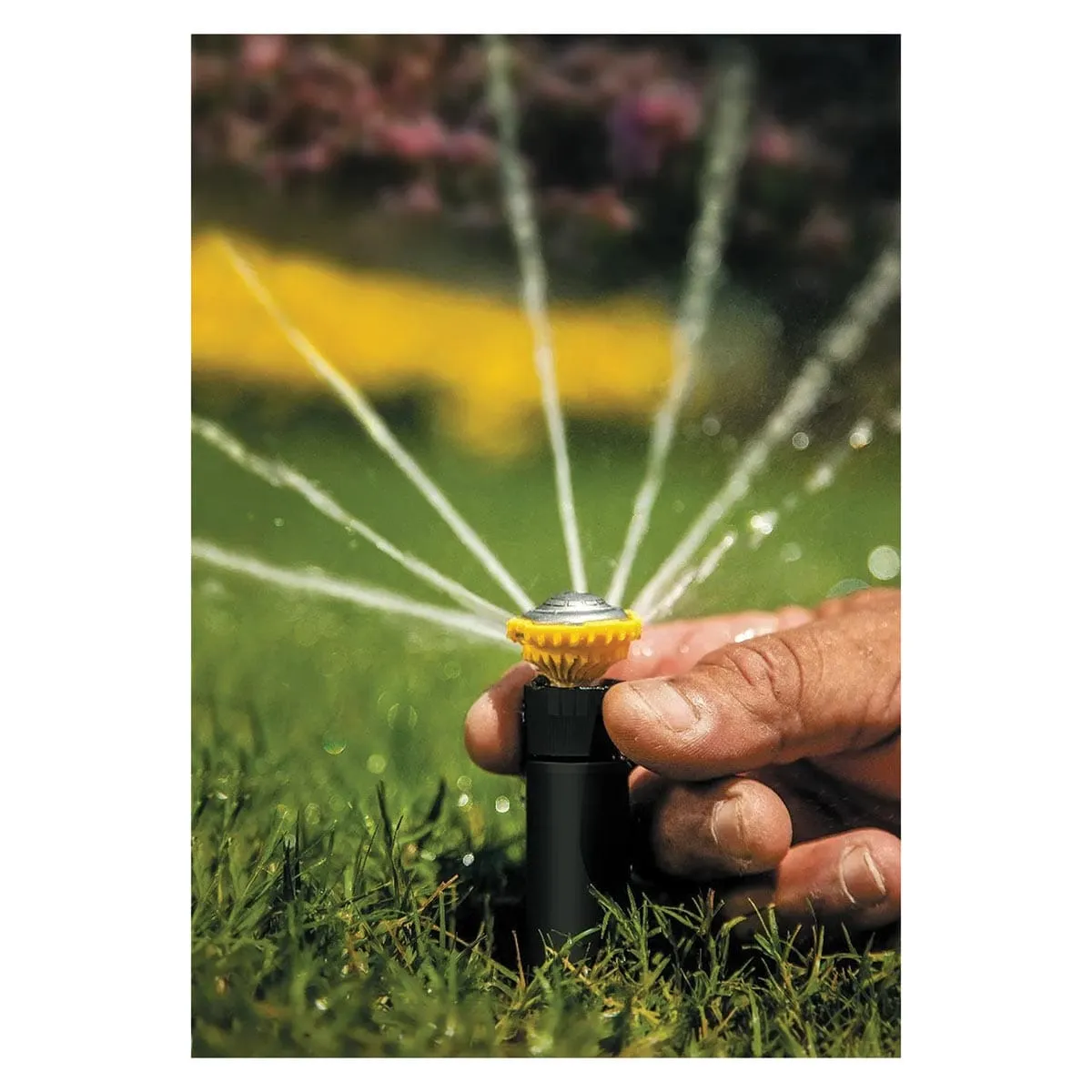 Rain Bird Rotor Adjustable with Pressure Regulator 13'-18' Spray