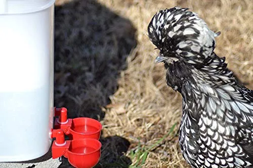 RentACoop Automatic Chicken Water Cup Waterer Kit for Poultry