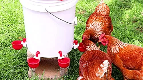 RentACoop DIY Autofill Chicken Cups for Any Watering System: Tubing, Hardware Cloth, Buckets, Barrels, and More!