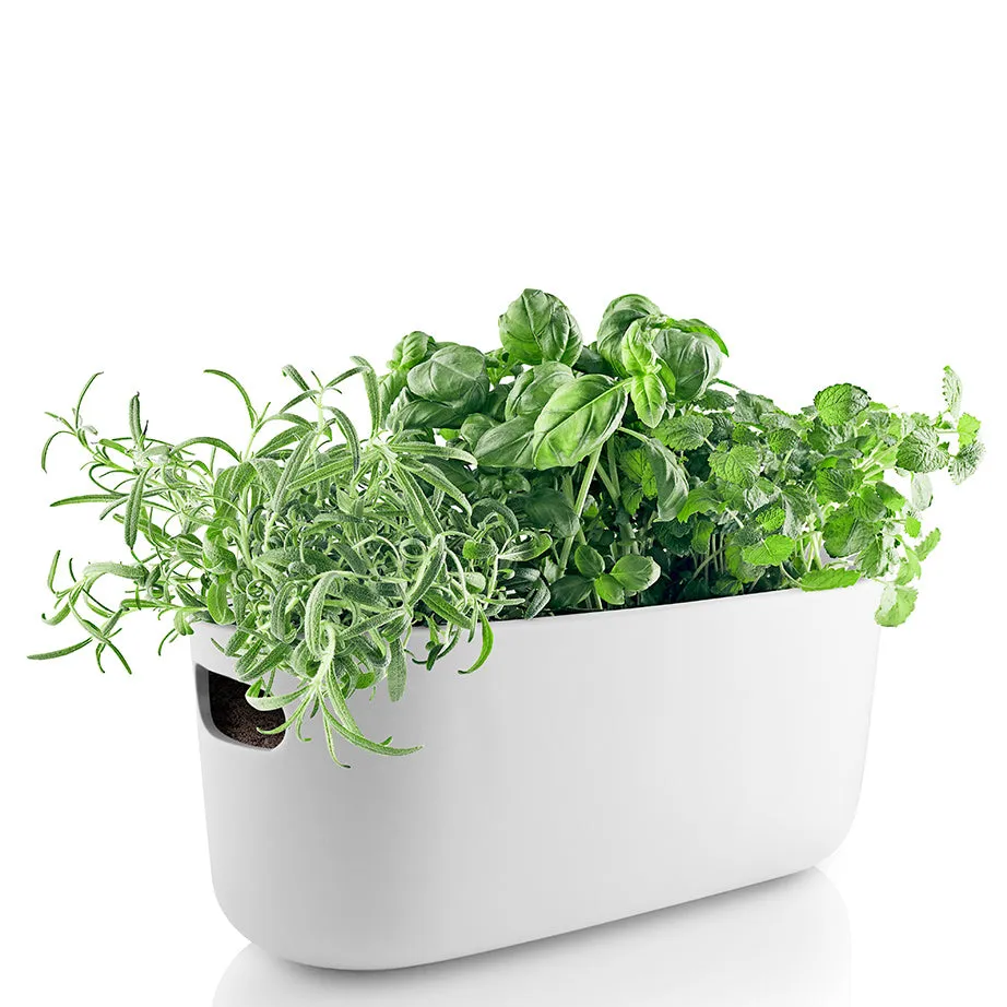 Self-Watering Herb Organizer