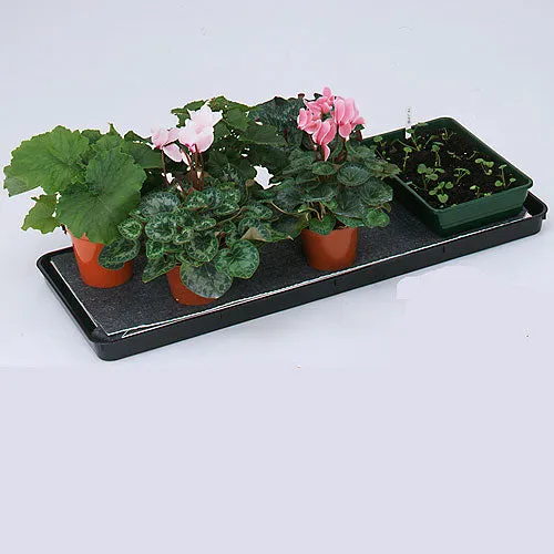 Self Watering Trays