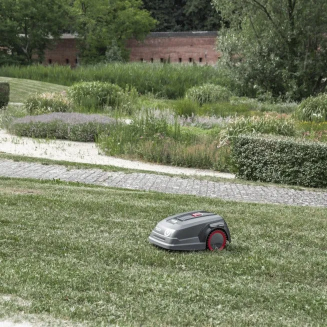 solo by AL-KO Robolinho 2000 W Robotic Lawnmower