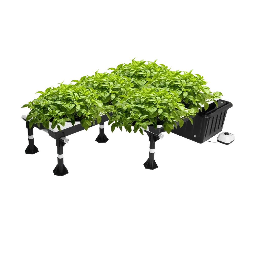 Super Flow Hydroponic System 26-Site