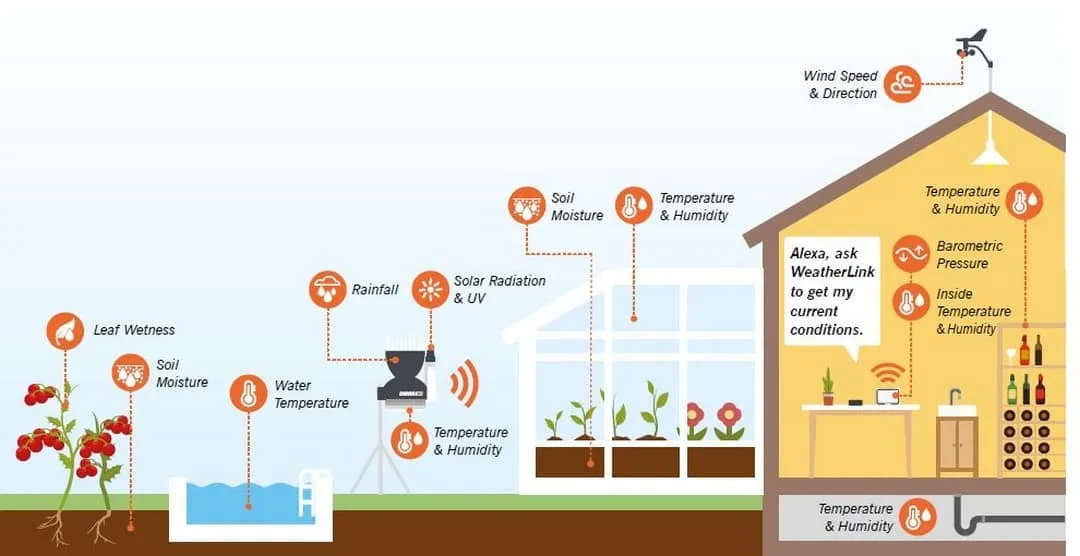 Wireless Leaf, Soil Moisture & Temperature Station (no sensors)